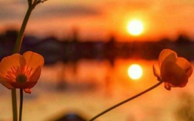 الطفولة طريقك لمعرفة ذاتك