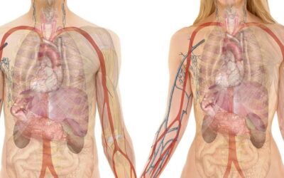 وصفات تحافظ على الكبد وتجعله يزيل السموم بشكل دوري