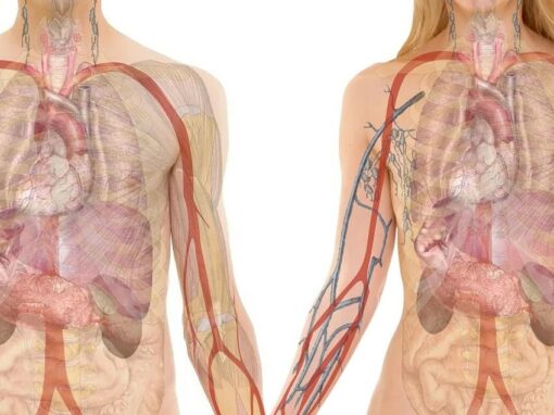 وصفات تحافظ على الكبد وتجعله يزيل السموم بشكل دوري