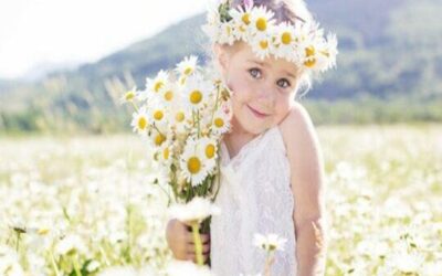 أهمية بخاخ البابونج للشعر وطريقة استخدامه